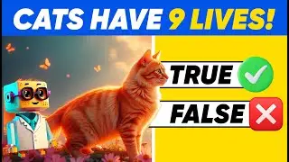 Fact or Fiction? 🐱 These Cat &lsquo;Facts&rsquo; Will Shock You! Can You Guess the Truth?  #CatsTrivia