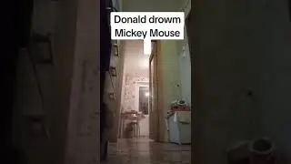Revenge On Mickey Mouse