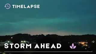 SF Bay Area Storm & Thanksgiving Guide | Events, Shopping & Tips