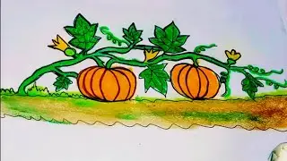 Village scenery drawing of sweet pumpkin flowers and fruit trees.  #Sweetpumpkintreedrawing