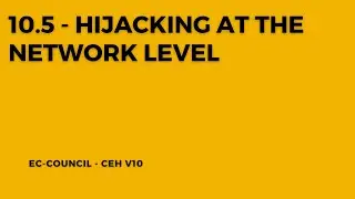 Unveiling Network-Level Hijacking: Strategies for Detection and Mitigation