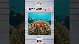 🐠 Guess the Fish Before Time Runs Out!  #quiz #english #englishvocabquiz