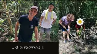 Retour plantations 2026 02 07