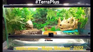 #TerraPlus НОВЫЙ дом для Саньки 21/07/2022/ Эублефар, попугаи, хомки/ ЗАВТРА  СТРИМ с ЧИХУАХУА