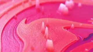 awwa &ndash; Naissance