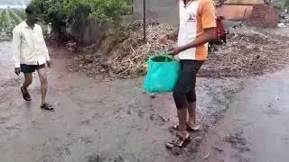 Flood effect on Dog.