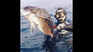 Muxarra 2kg sargo