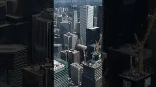Toronto skyline views
