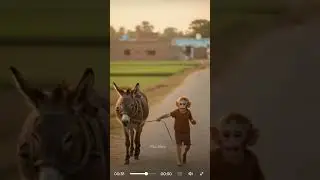 #small monkey#short@video