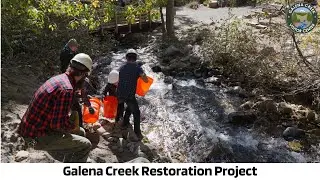 Galena Creek Restoration Project