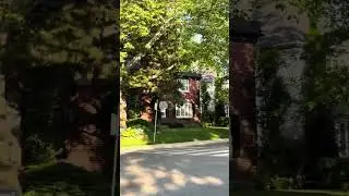 The Charm of Old Houses Captured in Nature