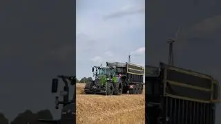 Team Schubert in der Getreideernte 🌾 #farming #jpagrar #landwirtschaft #agriculture #fendt #claas