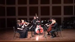 Dvorak - String Quintet Op 77 in G 1st & 2nd mov