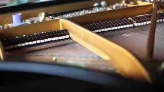 JOHN WOLF BRENNAN &minus; All the Strings you are
