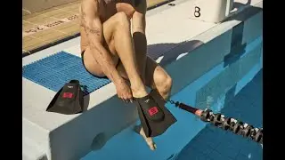 Unleash Your Power | Speedo DMC Fins &ndash; Swim Stronger, Train Smarter