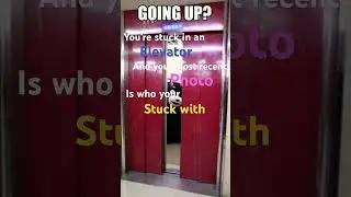 #stuck #funny #elevator #cat ￼