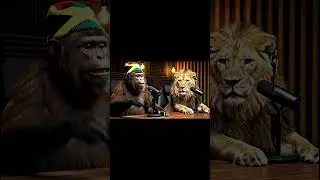 Rasta Monkeys Getting PTSD From Their Baby Mothers 💀