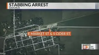 Teenager hospitalized, another arrested after Sadorus party stabbing