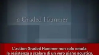 Mastery of Feel - Graded Hammer Action