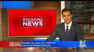 Police investigate deadly hit and run in Acton