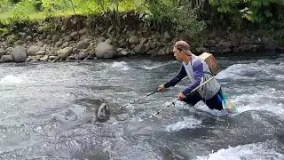 electrocuted the river, the result is a lot of baboons