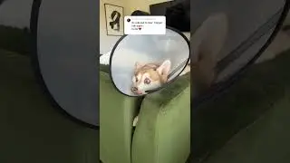 Обновление медного конуса!!!!