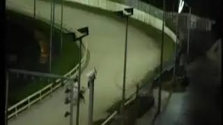 IGB - Welcome To Limerick Greyhound Stadium A9  08/12/2018 Race 1 - Limerick