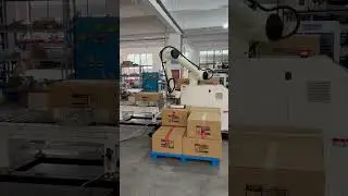 Palletizing Robot Machine！