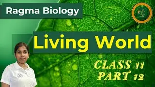 Taxonomic Category In Biological Classification Complete Concept in 5 Min | CBSE Class 11 Biology
