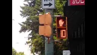 Econolite 'Buttonback' LED Pedestrian Signal