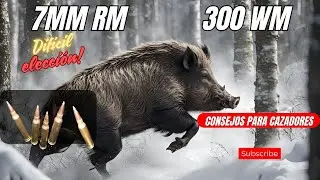 Comparamos el 7mm RM con el 300 WM - Ya no tendrás dudas con estos calibres.