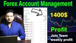 Forex Account Management Result || Copy Trading Result