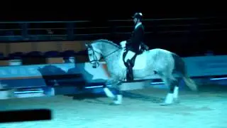 Cheval Passion 2013 Show d'élevage lusitanien élevage massa