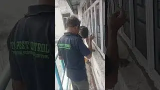 🏛️ TPS PEST CONTROL Termite and General pest management services all Over West Bengal Kolkata 