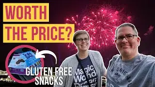 Let's Talk Disney Fireworks Cruise! Was it Worth the Price?