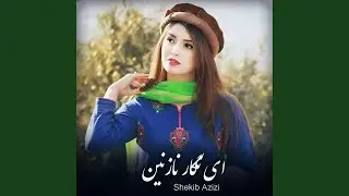 ای نگار نازنین