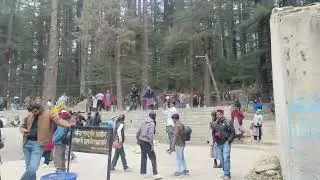 Huge Rush At Hadimba Devi Temple Manali 🙏 | First Visit | Peace Amidst Crowd