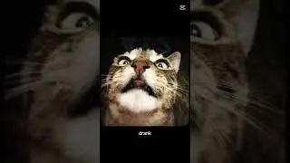Such an inspiring words #trending #cat #catfunny #viral #blowup #edit #dancemoms #squidgameseason2