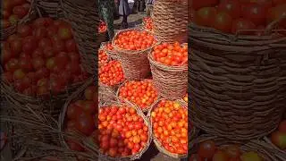 Price of basket of tomatoes in Lagos  #tomatoesprice #tomatoesmarket #lagosmarket