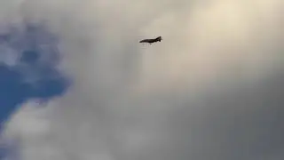 F-4 Phantom EDF Jet Pilot MCDDD