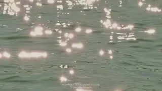 [𝙋𝙡𝙖𝙮𝙡𝙞𝙨𝙩] 영화 속 도시의 밤처럼 흐르는 재즈 🎷