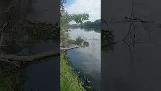 World's Most Bizarre Fishing Experience in Chaska Minnesota Next to the Minnesota River  9/16/24