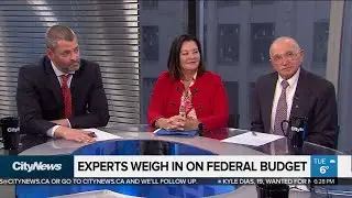 Experts weigh in on 2019 federal budget