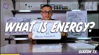 What is Energy? Learning about Creatine & ATP