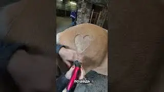 Ему сказали, что у него есть 2 месяца... И тут он сделал это!  #short