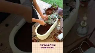 DIY עשה זאת בעצמך אדנית סקולנטים מתכת ייחודית חגיגית גינה חצר מרפסת שתילה ישירה
