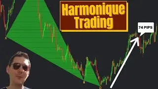 👨&zwj;🏫 Figures Harmoniques Trading - 74 pips sur un Black Swan