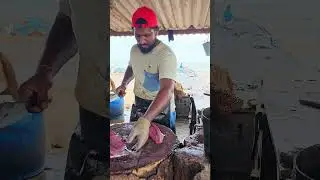 Fastest Mackerel Tuna Fish Cutting Skill By Expert Fish Cutter | Huge Tuna Fish Cutting