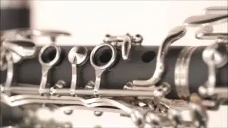 B.A.C. Student Clarinet Apprentice model by Best American Craftsman
