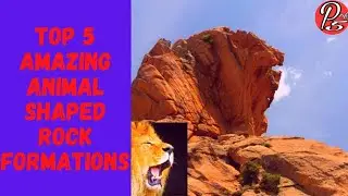 Top 5 Amazing Animal Shaped Rock Formations @ Power of 5 TV